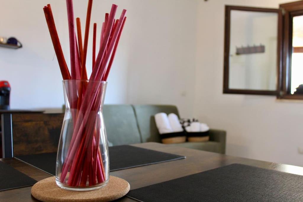 The Garden House Fco, Self Check In And Free Private Parking Apartment Фиумичино Екстериор снимка